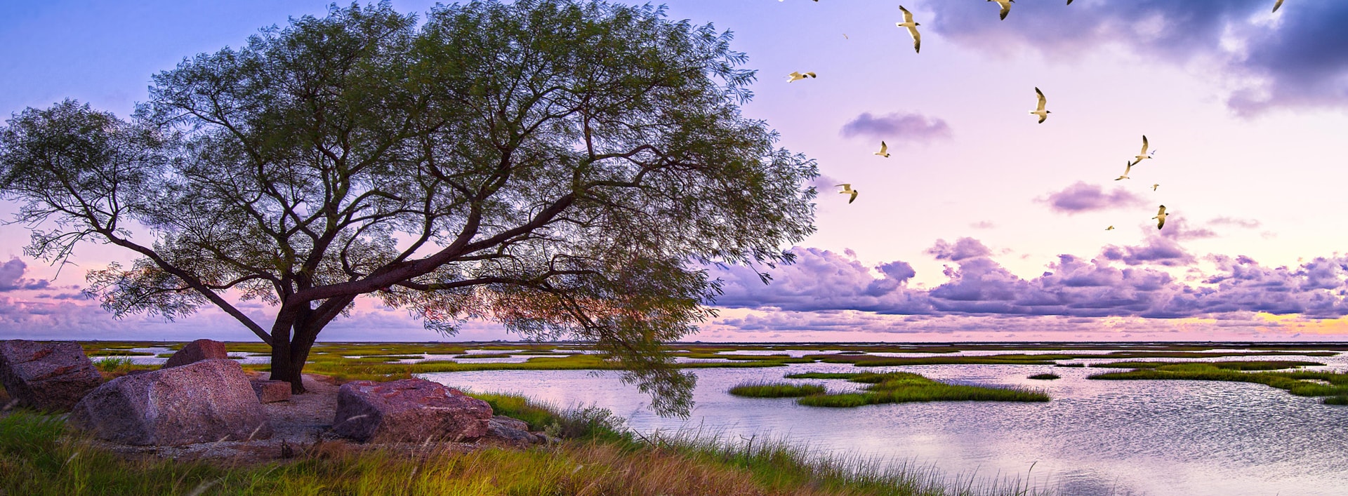 Donna Belt Real Estate