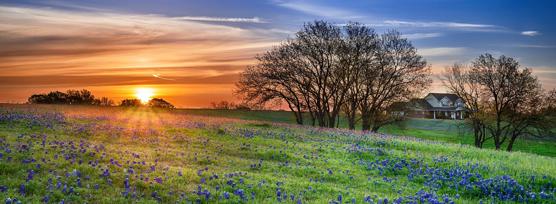 Donna Belt Real Estate